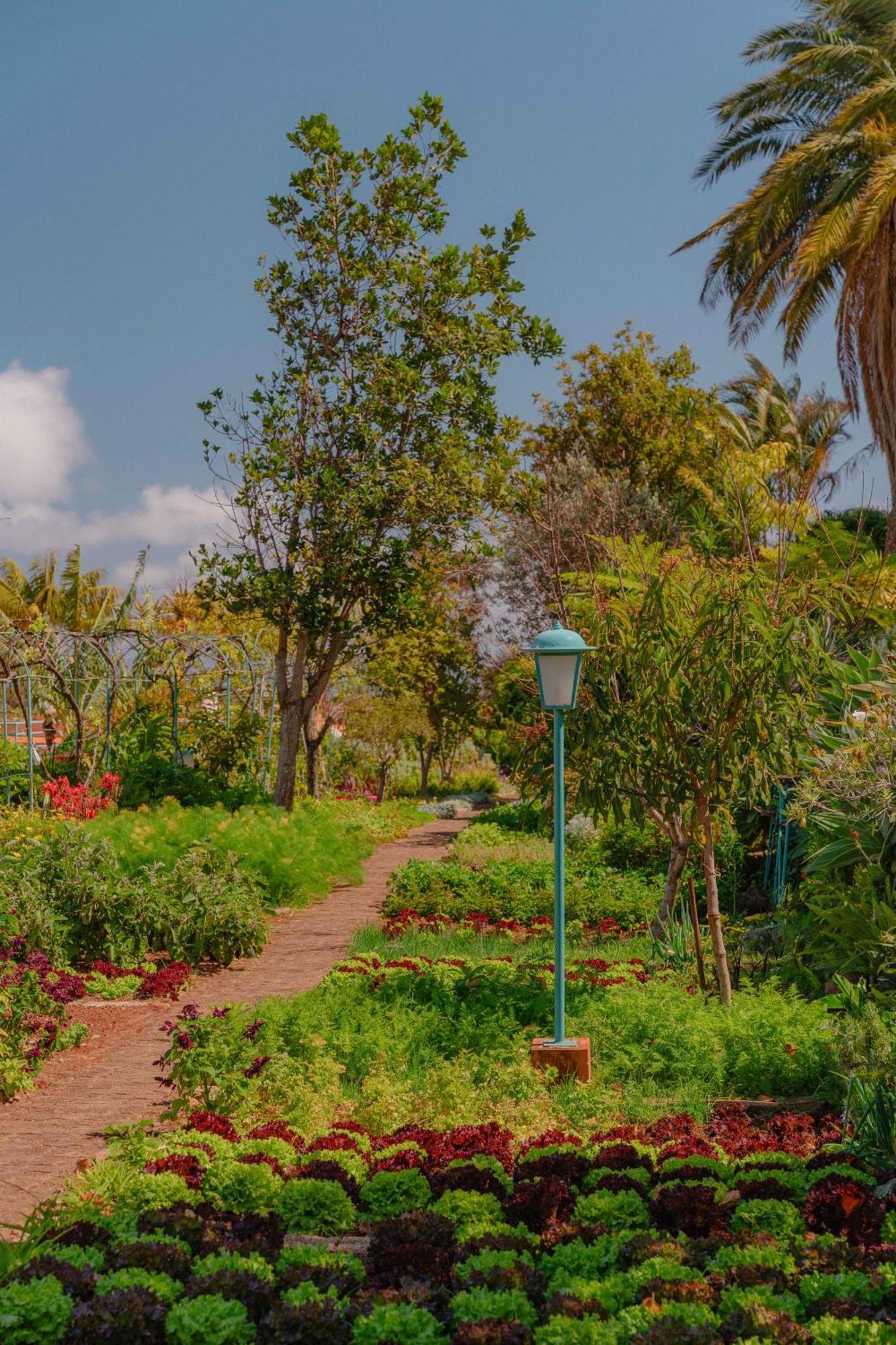 Quinta Splendida Wellness & Botanical Garden Otel Caniço Dış mekan fotoğraf